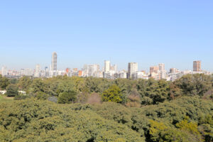 IMAGENES     Hotel Pampa Plaza